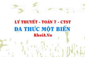 Đa thức một biến là gì? Cách biểu diễn đa thức 1 biến, cách tính giá trị và nghiệm của đa thức một biến?